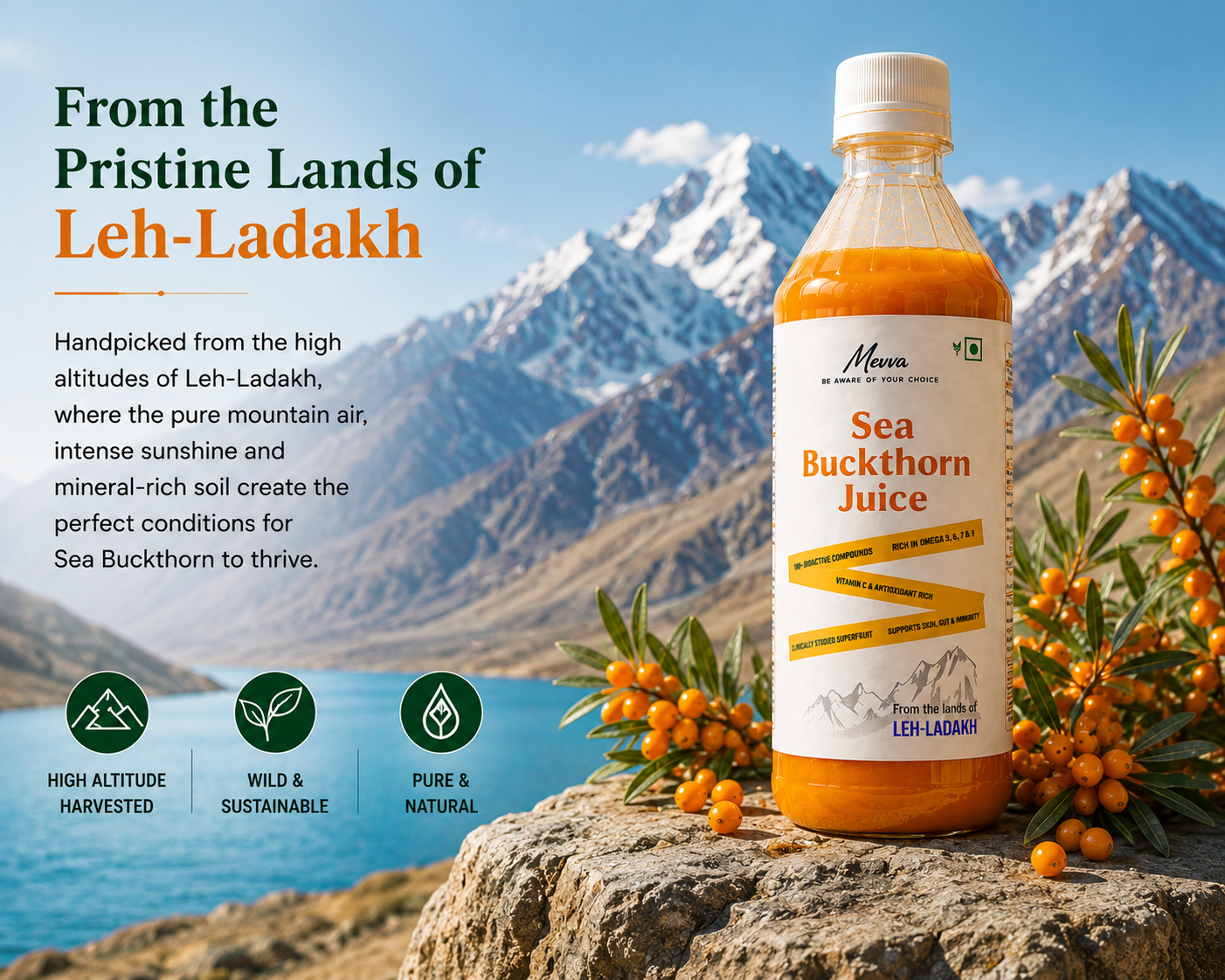 Sea Buckthorn Juice sourced from Leh-Ladakh